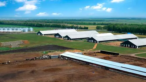 коровник ПК Веста