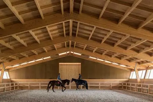 конюшня ПК Веста