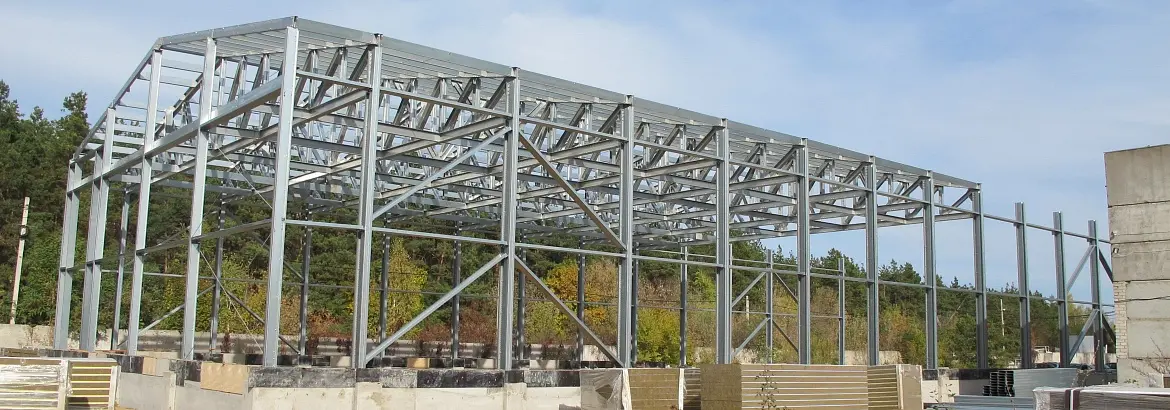 65. Склад 18х60х6, г. Воронеж, Россия